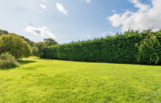 Plot for sale in Kings Stanley photo